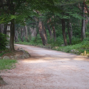 사실학교 힐링 산책 통도사