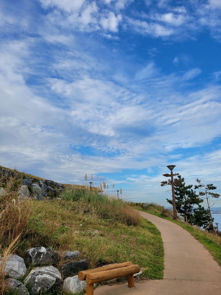 감정의 파도를 타다